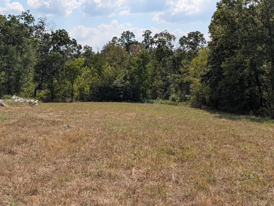 17640 Farm Road 1150, Cassville, MO 65625 - #3