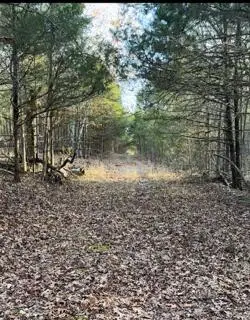 14 & 15 Treasure Point, Lampe, MO 65681 - #2