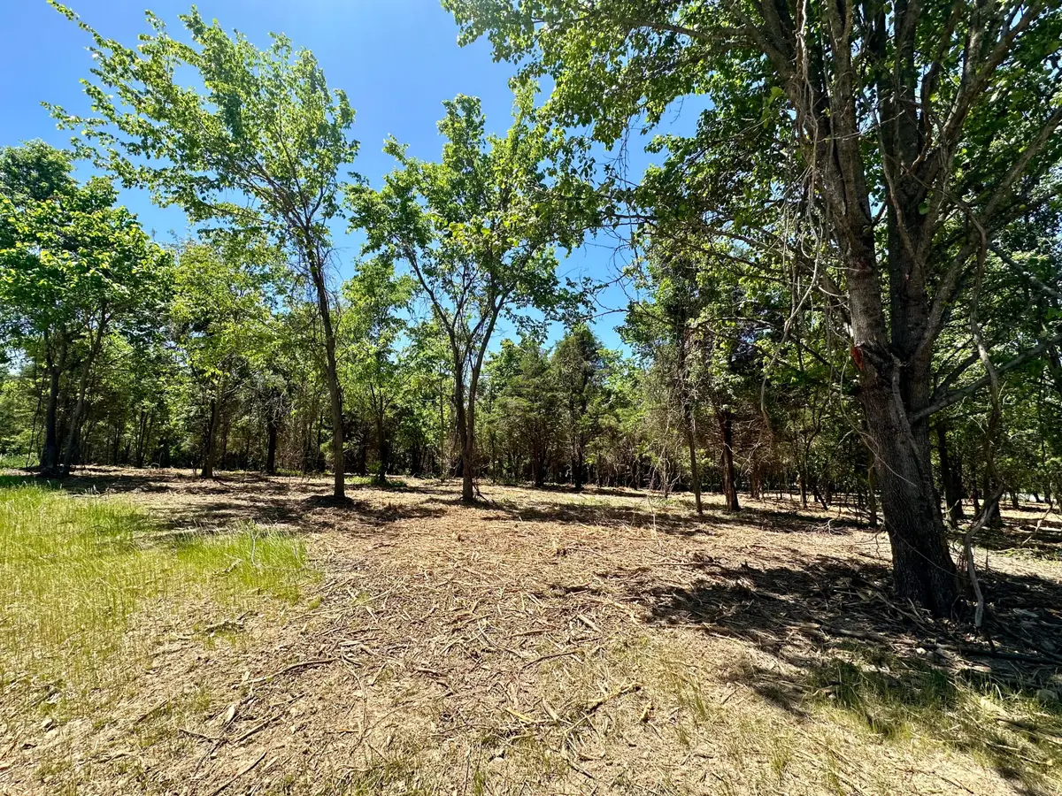 Lot 1 Mack Road, Nixa, MO 65714 - #1