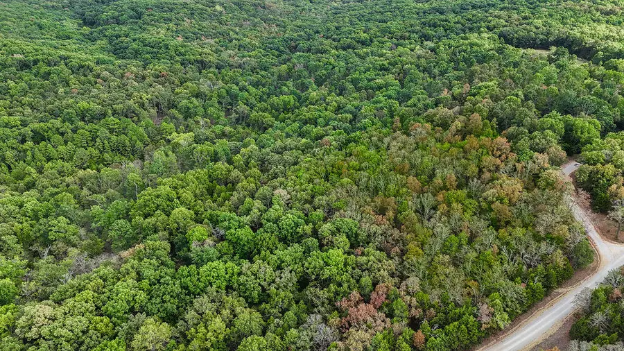 000 County Road 122, Wasola, MO 65773 - #2