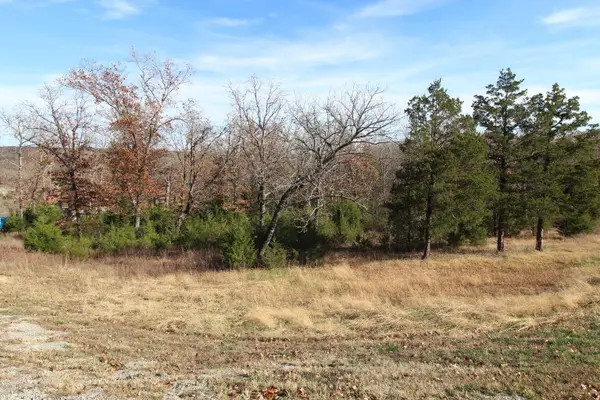 199 Forest Lake Drive, Branson West, MO 65737