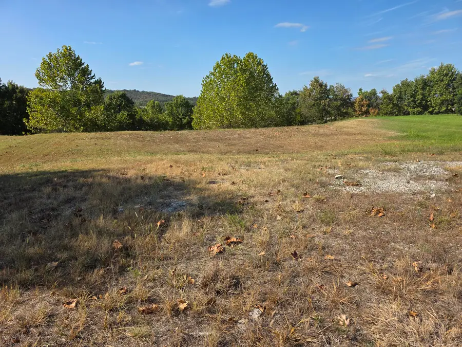 117 Greystone Drive, Hollister, MO 65672 - #2