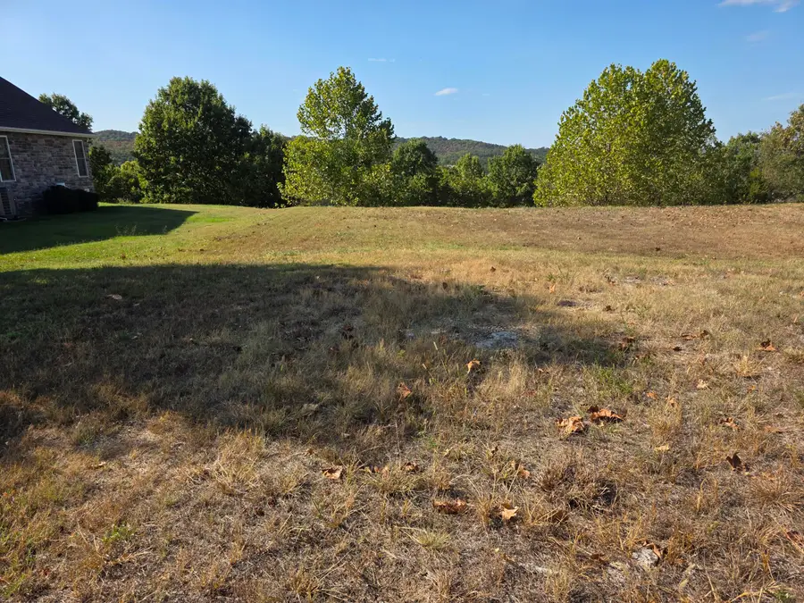 117 Greystone Drive, Hollister, MO 65672 - #3