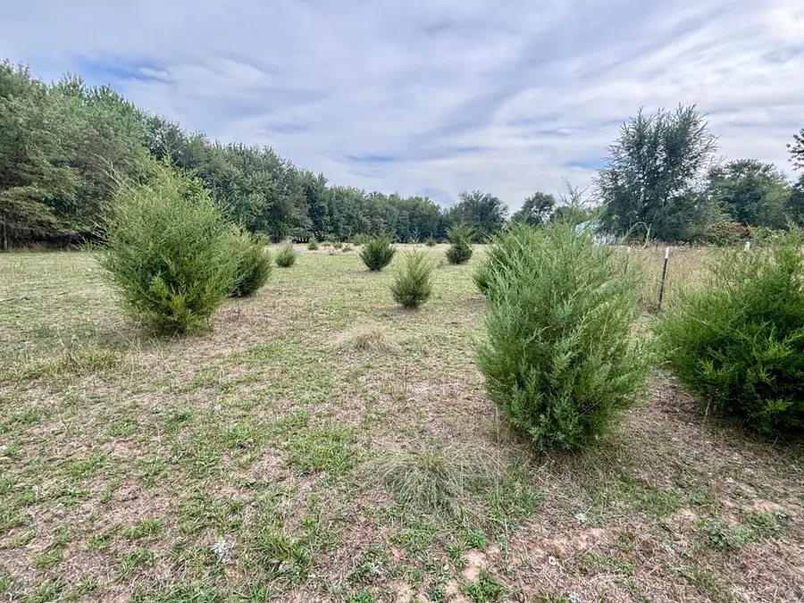 Address Withheld By Seller, Republic, MO 65738 - #2