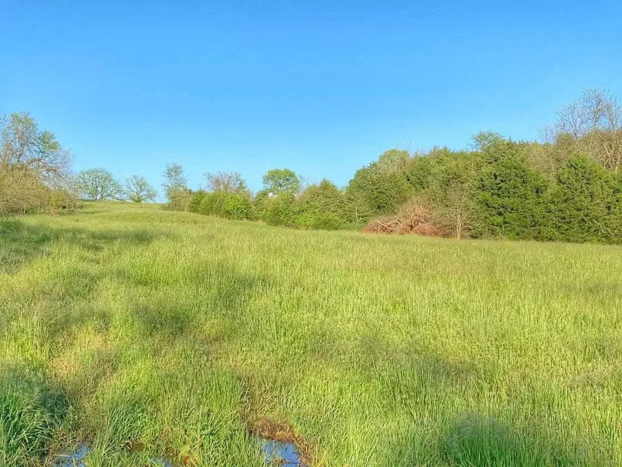 5875 N Currie Lane, Springfield, MO 65803 - #2