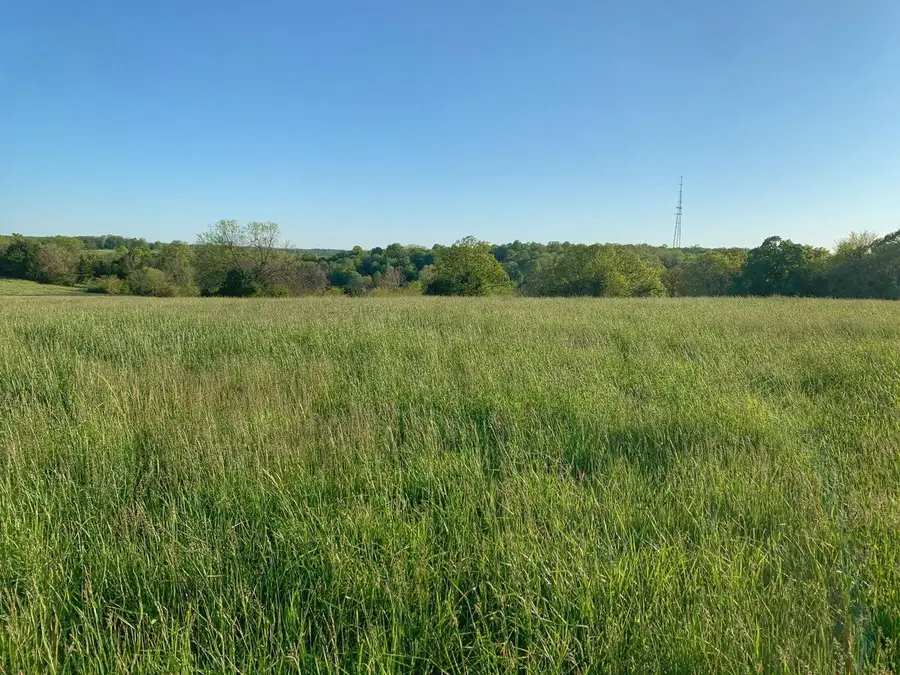 5875 N Currie Lane, Springfield, MO 65803 - #3