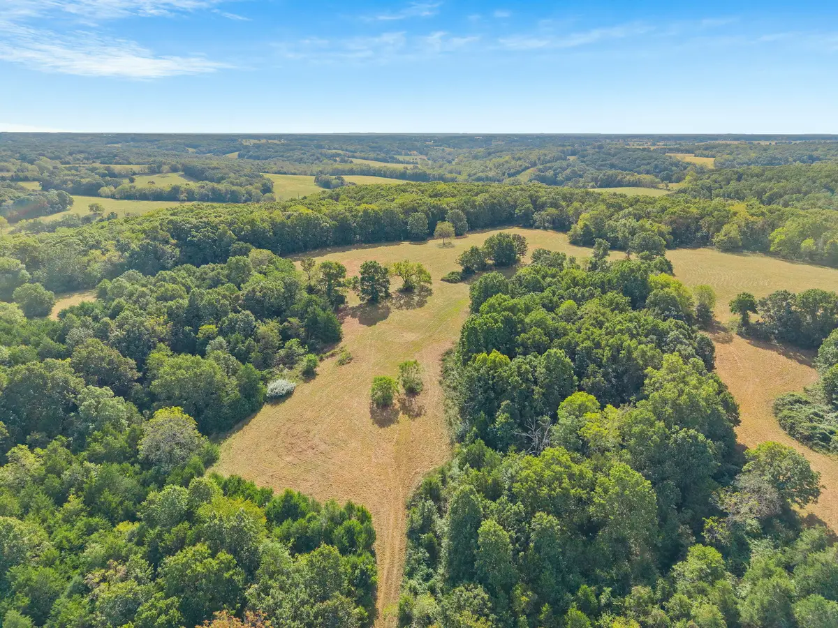 000 Bobcat Road, Rogersville, MO 65742 - #1