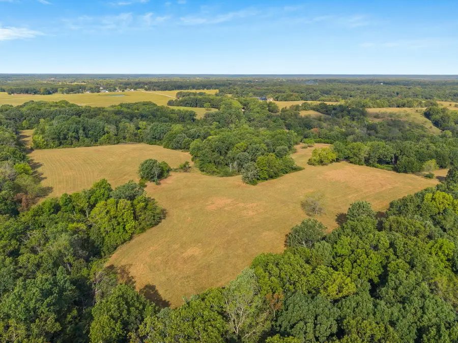 000 Bobcat Road, Rogersville, MO 65742 - #3