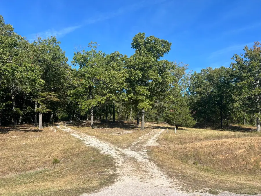 1747 State Route 137, Willow Springs, MO 65793 - #3