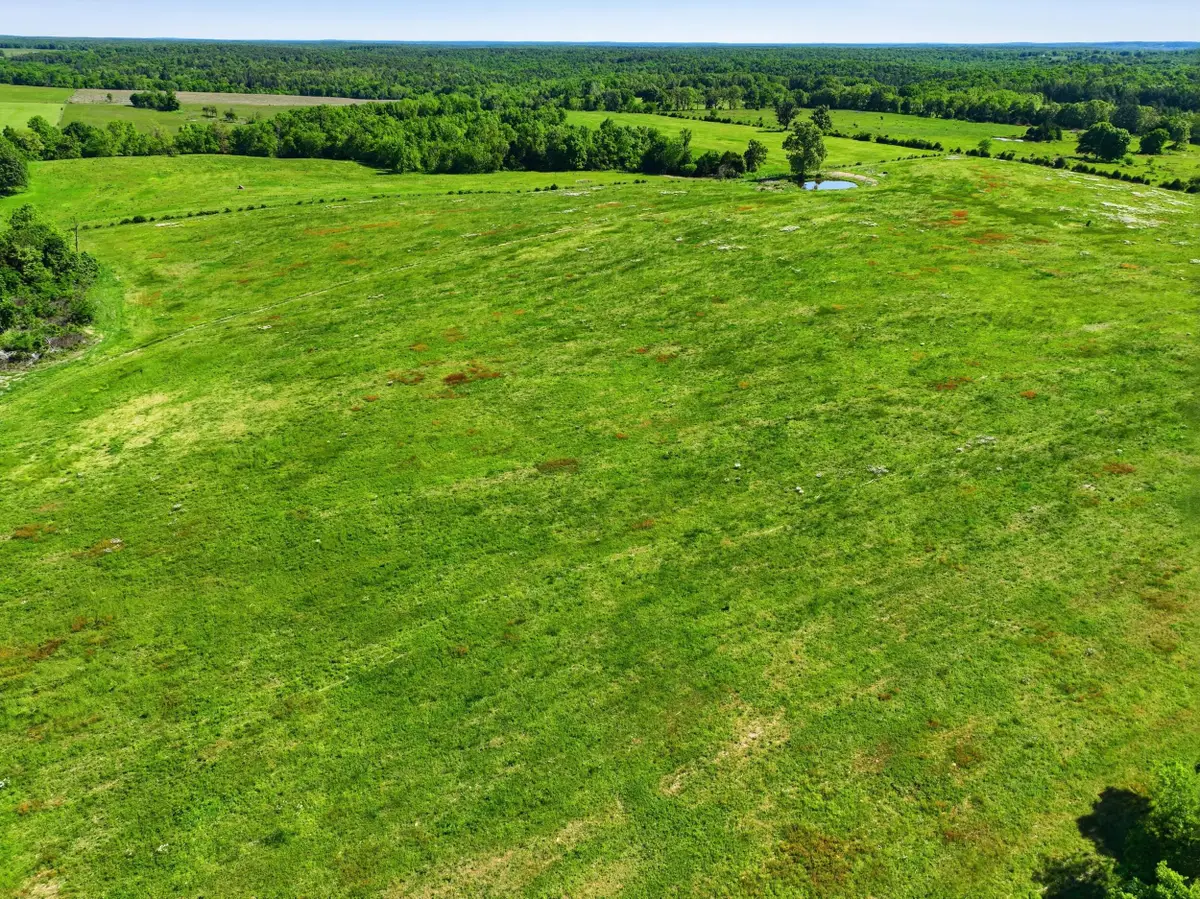 9290 Burton Branch Road, Bucyrus, MO 65444 - #1