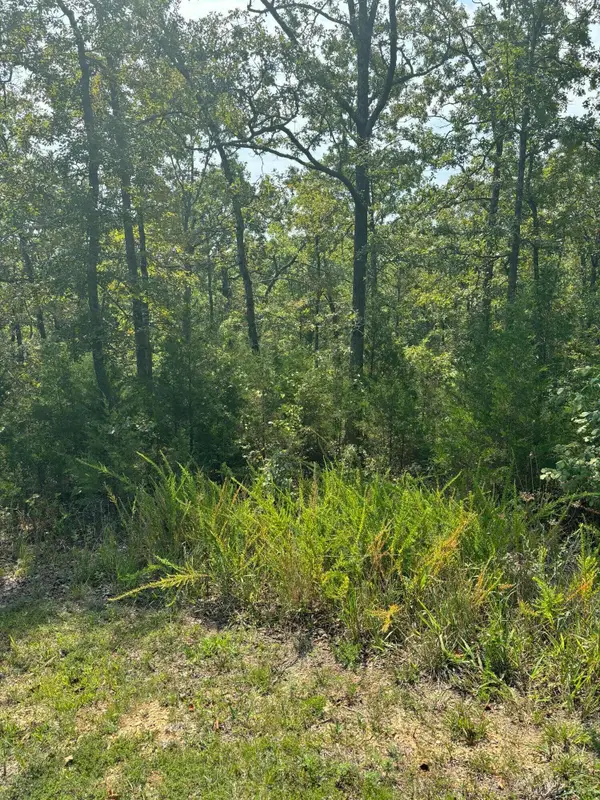 Lot #3 Fox Hollow Road, Branson West, MO 65737
