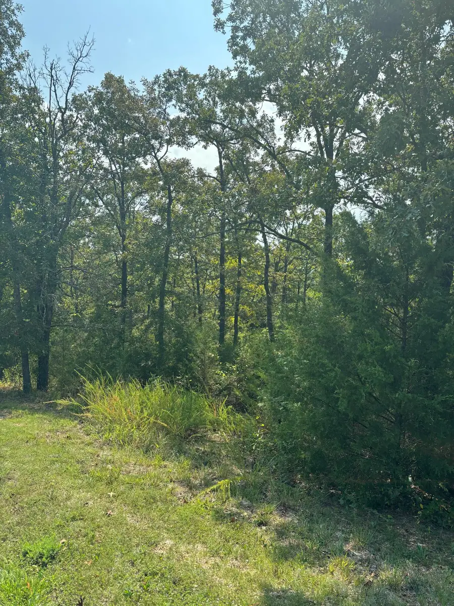 Lot #3 Fox Hollow Road, Branson West, MO 65737 - #3