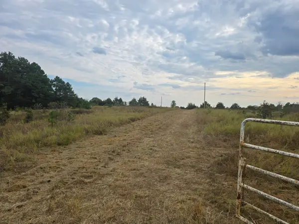 000 Golden Trail Drive, Raymondville, MO 65555
