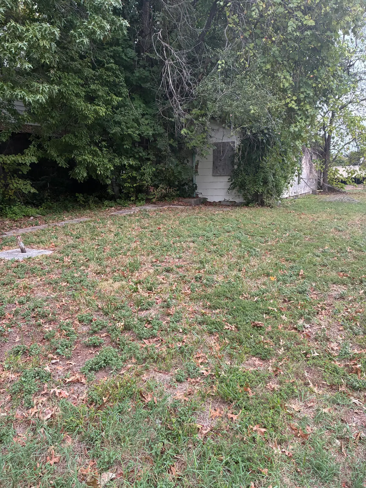 203 W Dallas Street, Mount Vernon, MO 65712 - #1