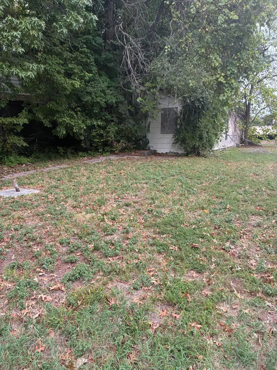 203 W Dallas Street, Mount Vernon, MO 65712 - #3