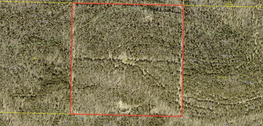 000 State Highway Uu Road, Chadwick, MO 65629 - #3