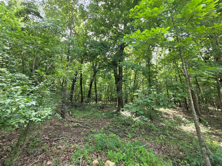 000 Golf Course Road, Marshfield, MO 65706 - #2