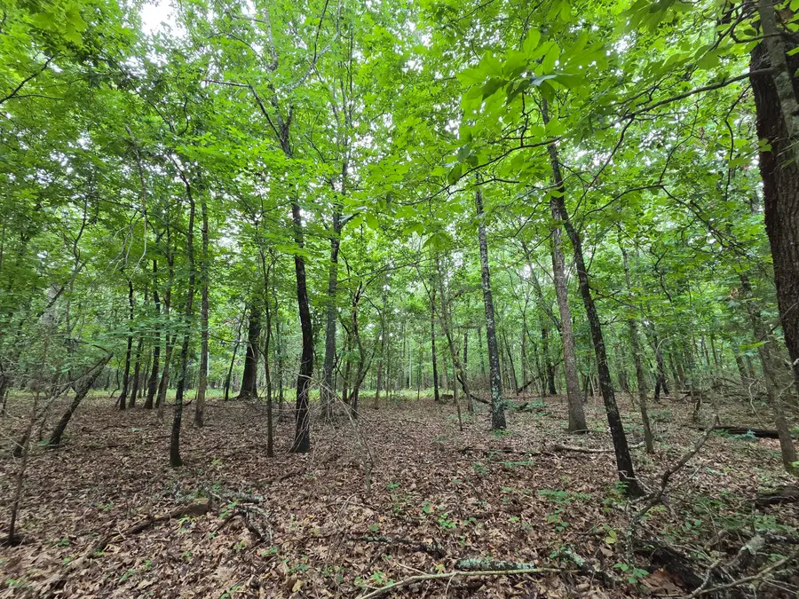 000 Golf Course Road, Marshfield, MO 65706 - #3
