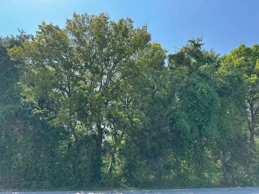 000 Owen Road, Nixa, MO 65714 - #2