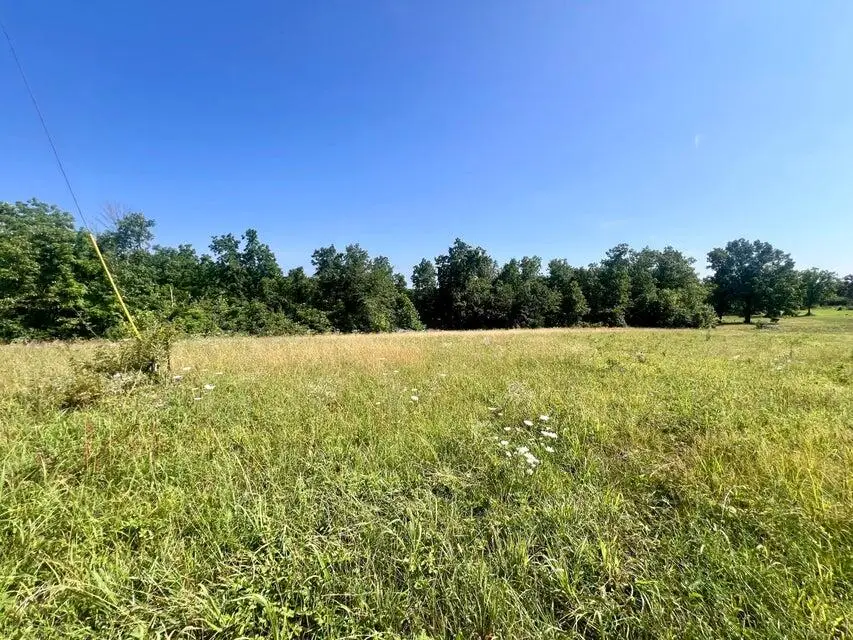 000 Highway Z Houston, Houston, MO 65483 - #3