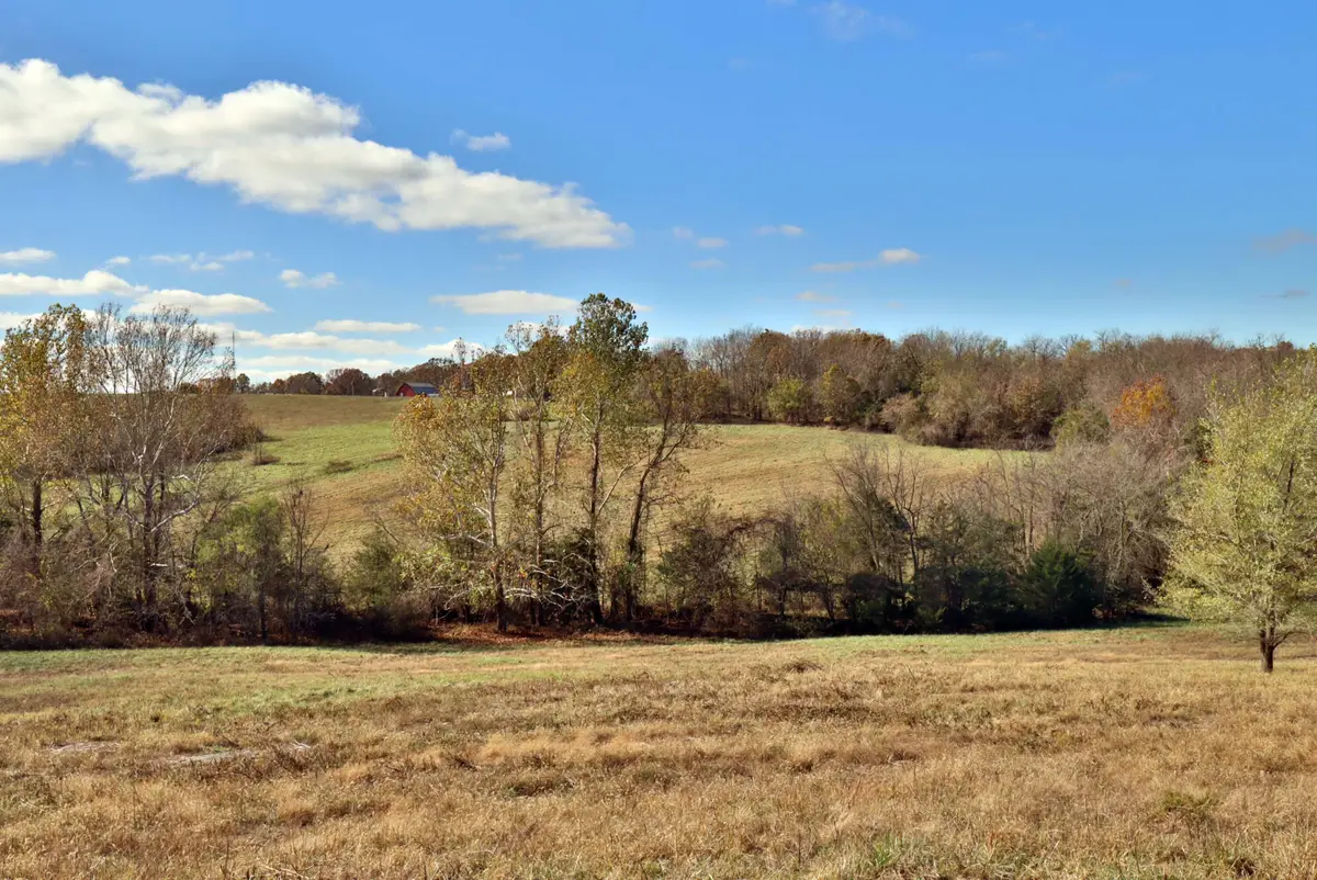 000 W State Highway U, Walnut Grove, MO 65770 - #1