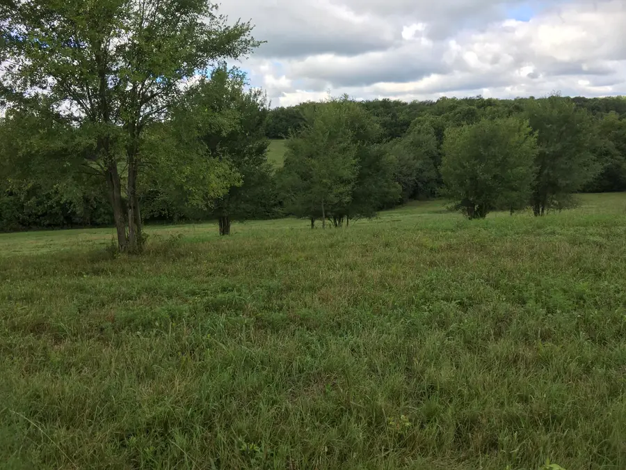 000 W State Highway U, Walnut Grove, MO 65770 - #2