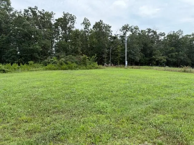 1498 State Route Ra, Mountain View, MO 65548 - #2