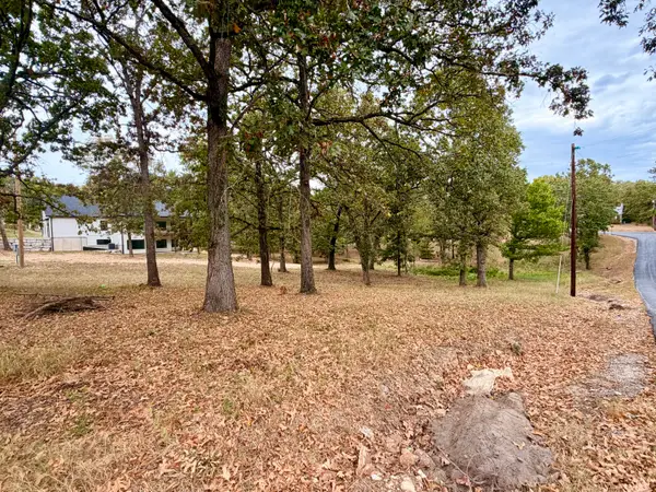 000 N Maple Street, Blue Eye, MO 65611
