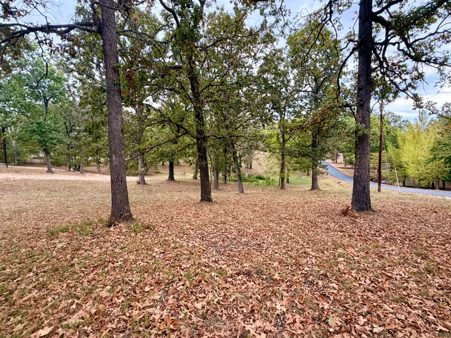 000 N Maple Street, Blue Eye, MO 65611 - #2