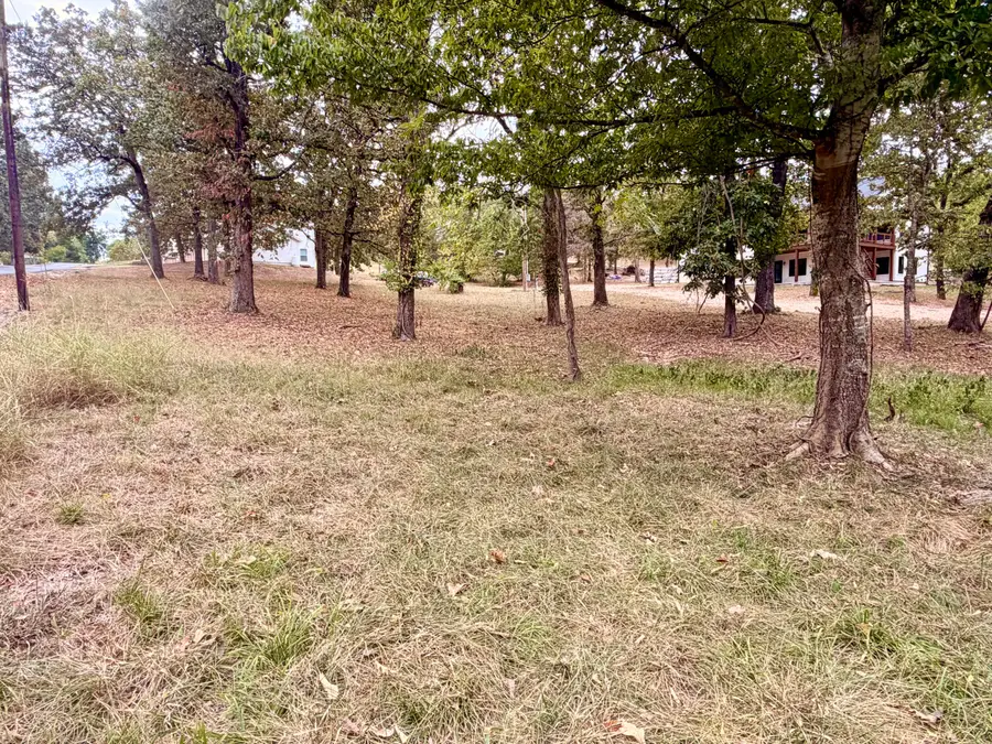 000 N Maple Street, Blue Eye, MO 65611 - #3