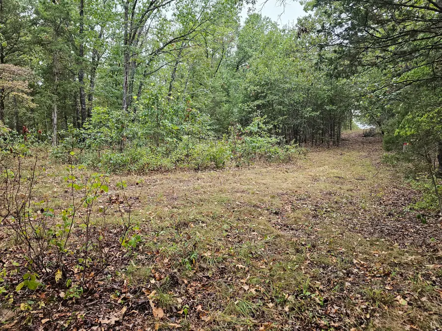0 State Highway 76, Bradleyville, MO 65614 - #2