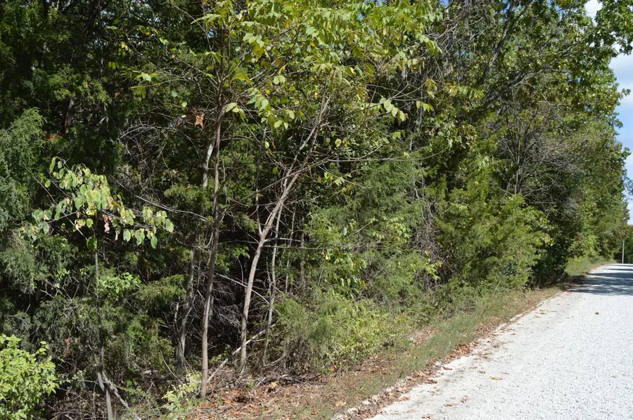 000 Waldon Ridge, Lampe, MO 65681 - #3