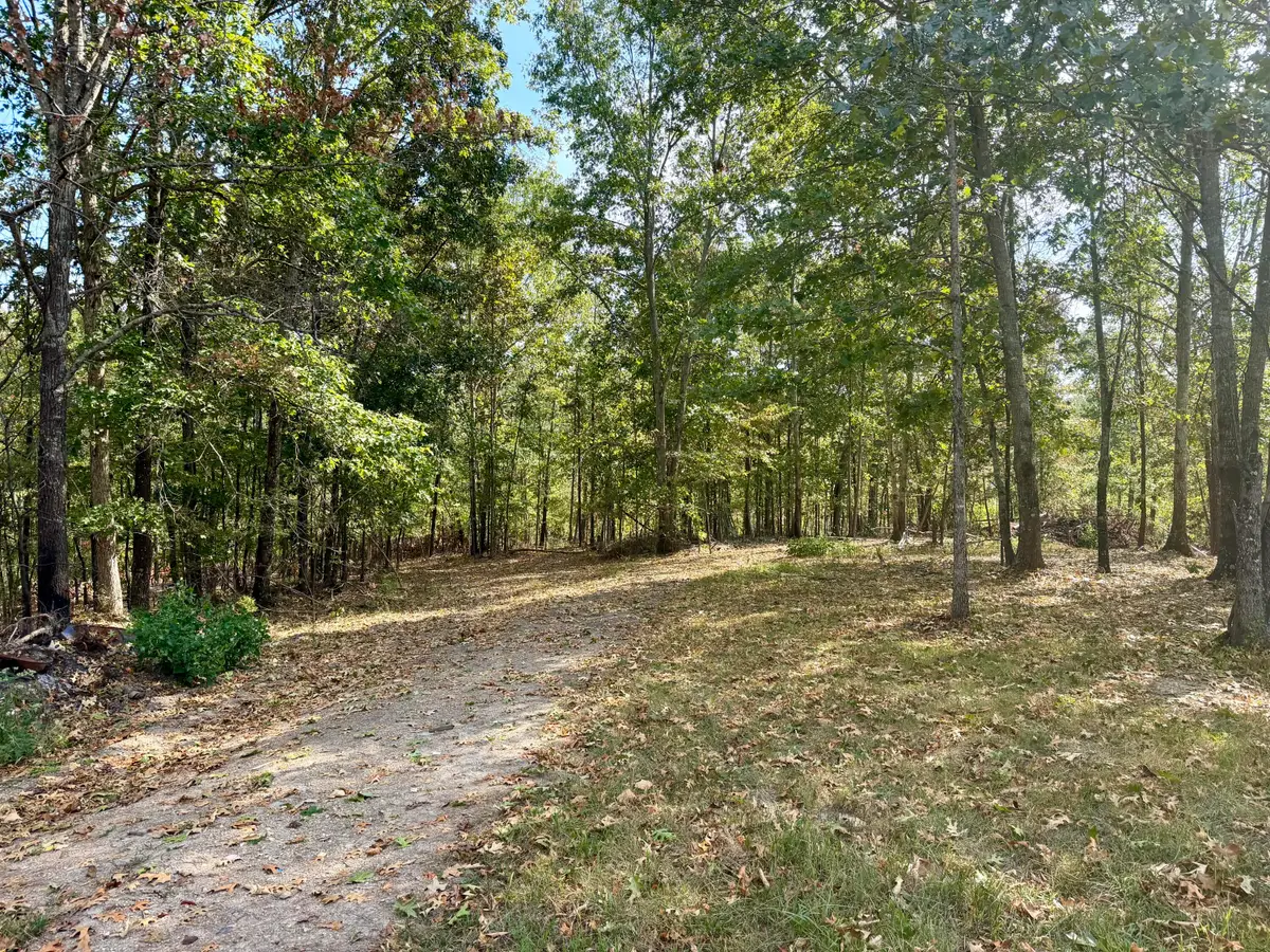 000 County Road 306, Van Buren, MO 63965 - #1