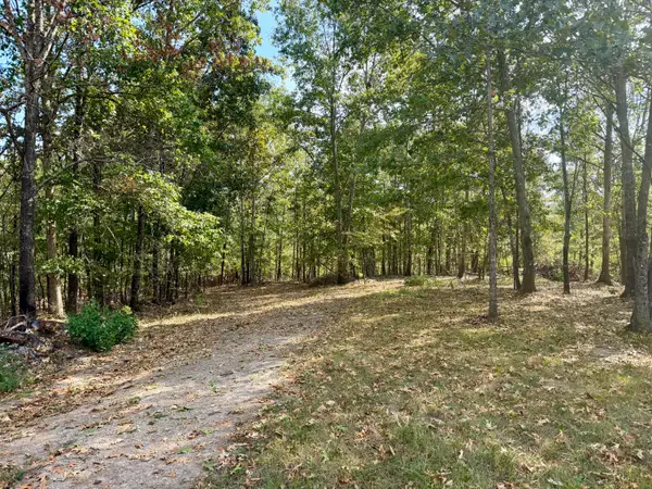 000 County Road 306, Van Buren, MO 63965