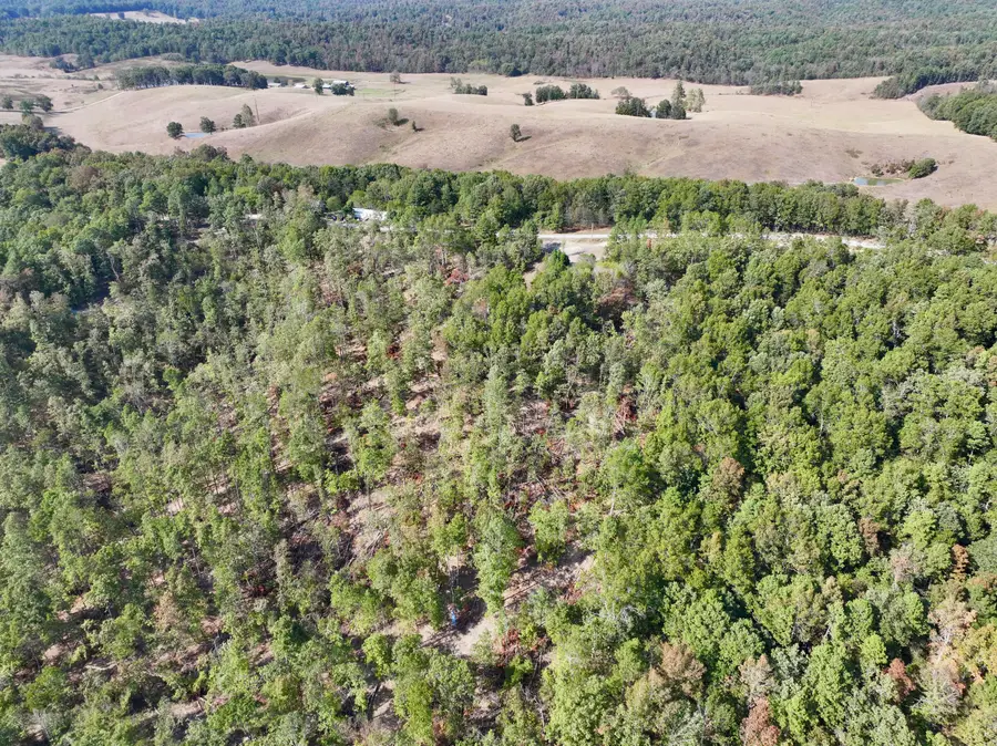 000 County Road 306, Van Buren, MO 63965 - #3