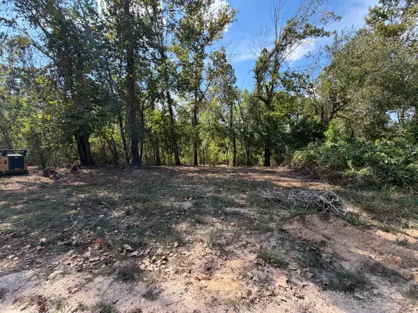 000 Lueckel Drive, Van Buren, MO 63965