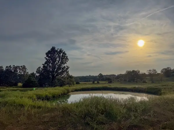 4420 State Route Dd, Willow Springs, MO 65793