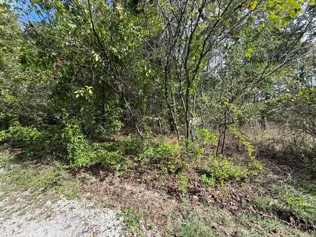 0 Walnut Circle, Flemington, MO 65650 - #1