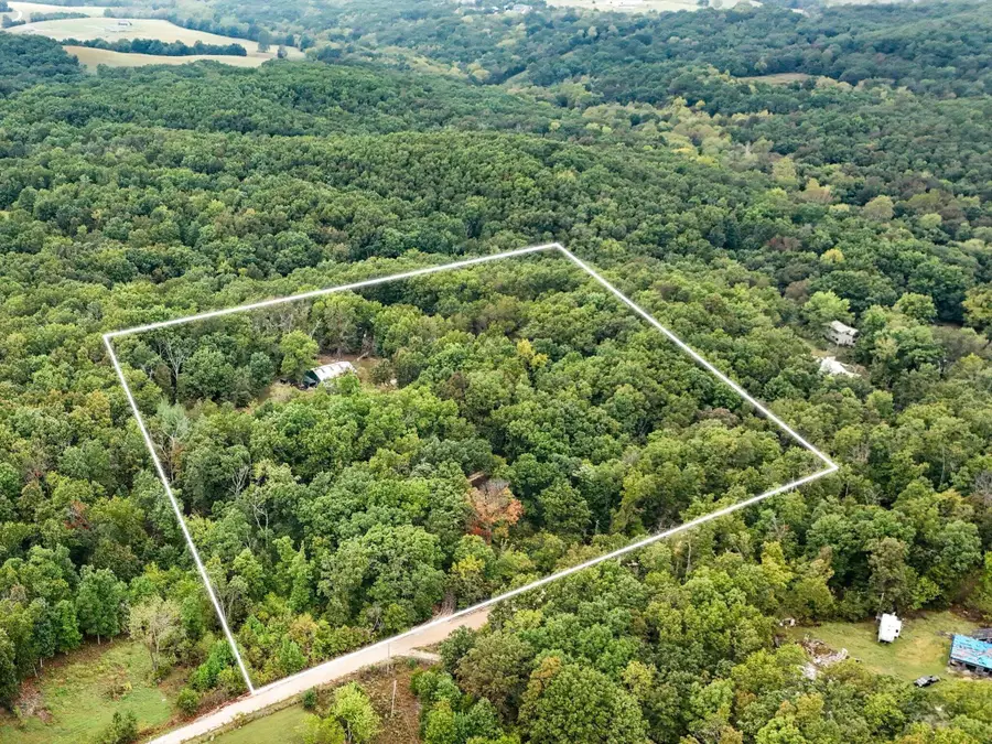261 Wintergrape Lane, Rogersville, MO 65742 - #2