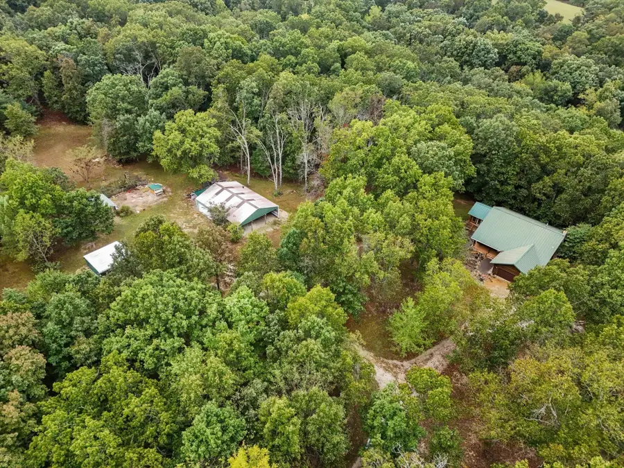 261 Wintergrape Lane, Rogersville, MO 65742 - #3