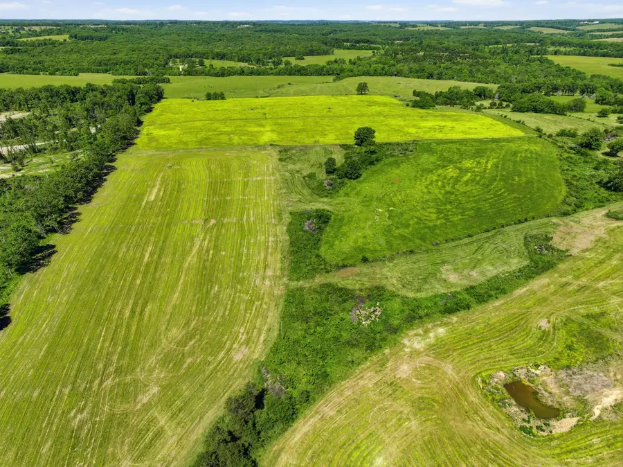 9290 Burton Branch Road, Bucyrus, MO 65444 - #3