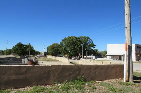 101 E North Street, Mansfield, MO 65704
