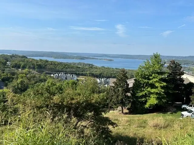 53 Royal Vista Drive #201, Branson, MO 65616 - #2