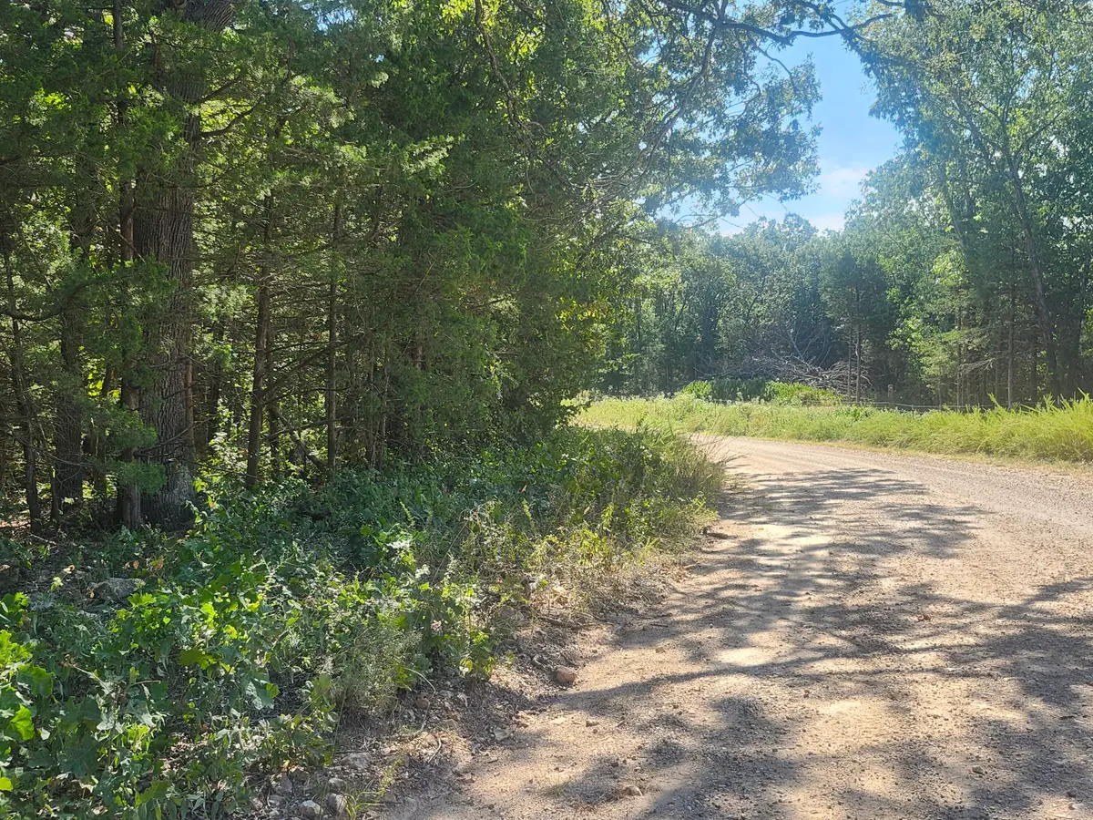13239 County Road 290, Flemington, MO 65650 - #1