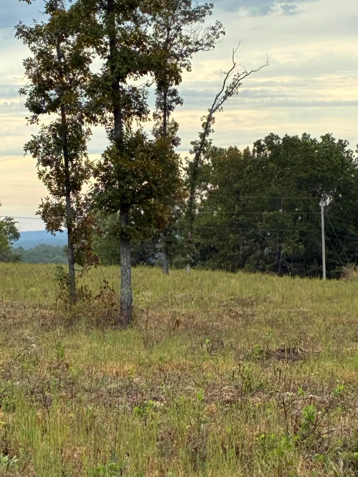 Highway 76 E Route 2, Ava, MO 65608 - #1