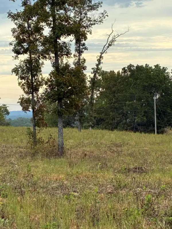 Highway 76 E Route 2, Ava, MO 65608