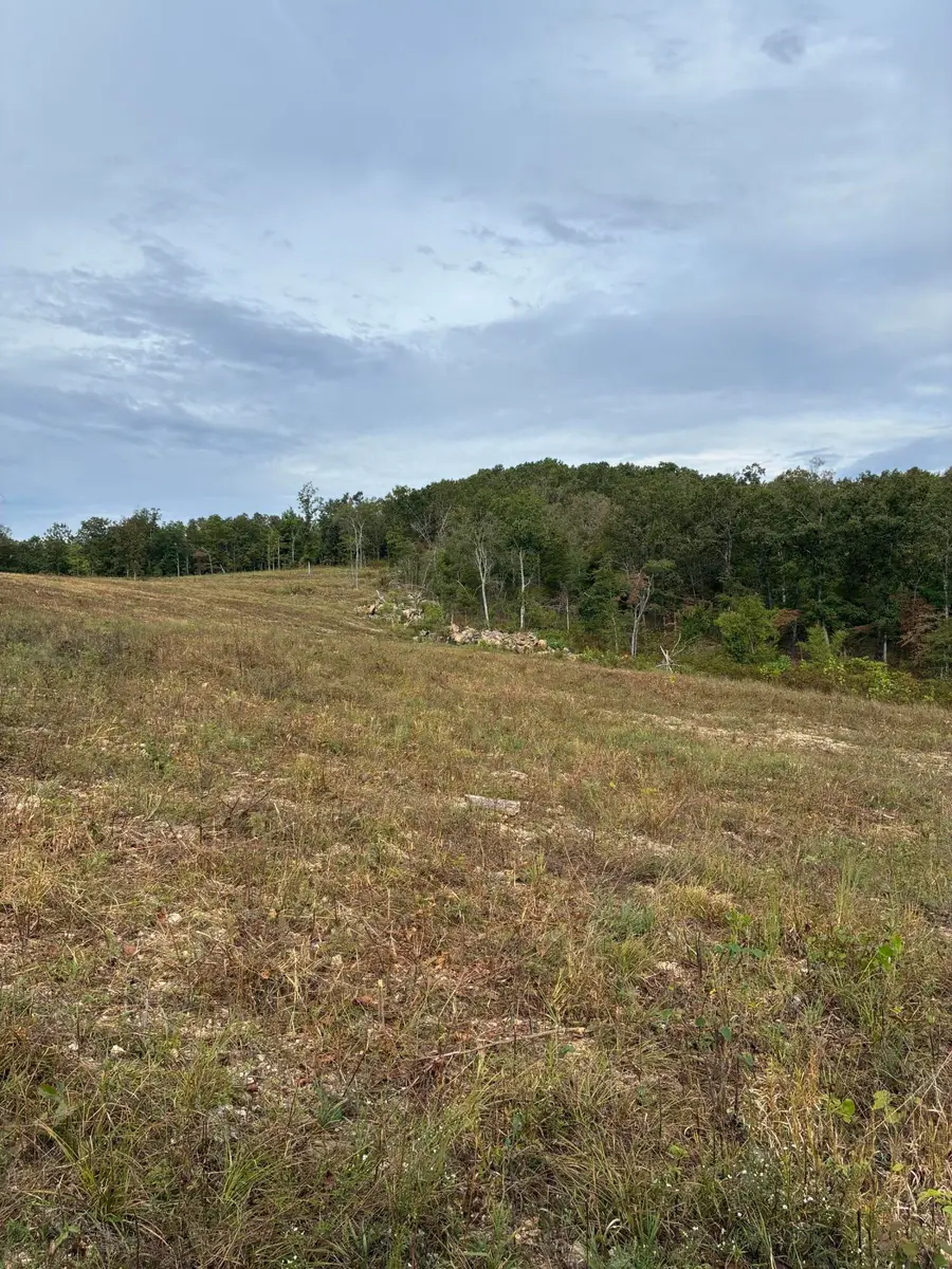 Highway 76 E Route 2, Ava, MO 65608 - #2
