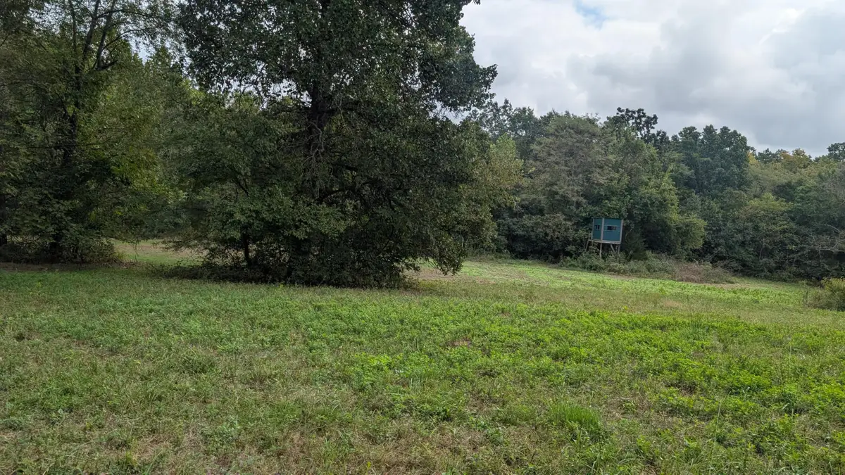 5740 SE 731 Road, Collins, MO 64738 - #1