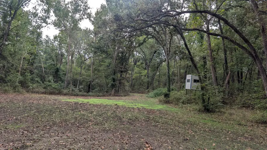 5740 SE 731 Road, Collins, MO 64738 - #3