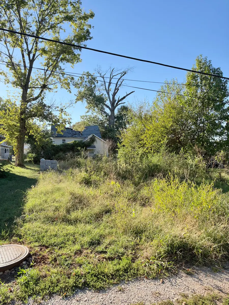 603 Church Street, Golden City, MO 64748 - #2